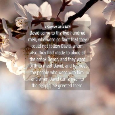 Picture 04 - 1 Samuel 30:21 WEB - David came to the two hundred men, who were so - Bible Verse Picture