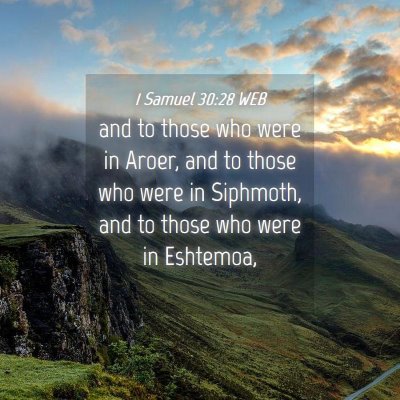 Picture 04 - 1 Samuel 30:28 WEB - and to those who were in Aroer, and to those who - Bible Verse Picture