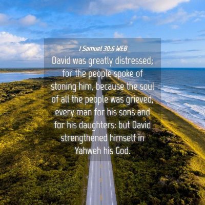 Picture 04 - 1 Samuel 30:6 WEB - David was greatly distressed; for the people - Bible Verse Picture