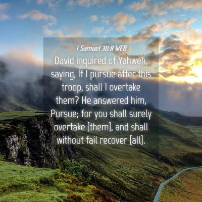 Picture 04 - 1 Samuel 30:8 WEB - David inquired of Yahweh, saying, If I pursue - Bible Verse Picture