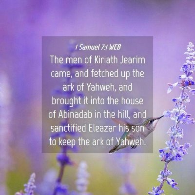 Picture 04 - 1 Samuel 7:1 WEB - The men of Kiriath Jearim came, and fetched up - Bible Verse Picture