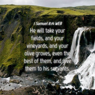 Picture 04 - 1 Samuel 8:14 WEB - He will take your fields, and your vineyards, and - Bible Verse Picture