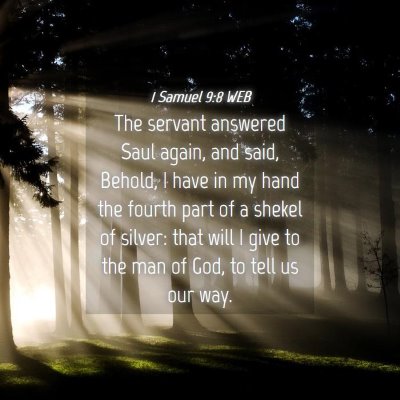 Picture 04 - 1 Samuel 9:8 WEB - The servant answered Saul again, and said, - Bible Verse Picture