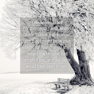 Picture 04 - 1 Thessalonians 3:5 WEB - For this cause I also, when I couldn't stand it - Bible Verse Picture