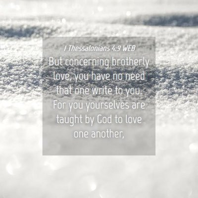 Picture 04 - 1 Thessalonians 4:9 WEB - But concerning brotherly love, you have no need - Bible Verse Picture