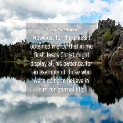 Picture 04 - 1 Timothy 1:16 WEB - However, for this cause I obtained mercy, that in - Bible Verse Picture