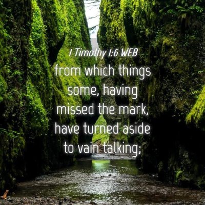 Picture 04 - 1 Timothy 1:6 WEB - from which things some, having missed the mark, - Bible Verse Picture