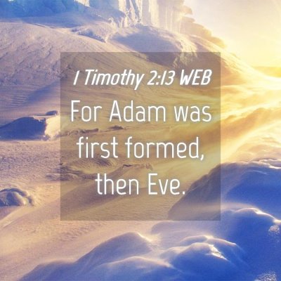 Picture 04 - 1 Timothy 2:13 WEB - For Adam was first formed, then - Bible Verse Picture
