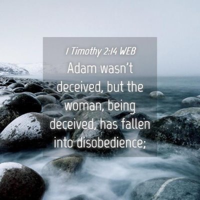 Picture 04 - 1 Timothy 2:14 WEB - Adam wasn't deceived, but the woman, being - Bible Verse Picture