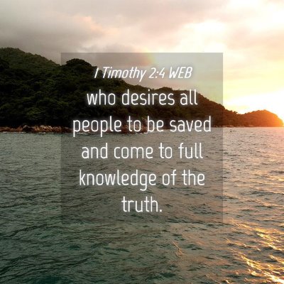 Picture 04 - 1 Timothy 2:4 WEB - who desires all people to be saved and come to - Bible Verse Picture