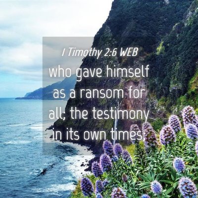 Picture 04 - 1 Timothy 2:6 WEB - who gave himself as a ransom for all; the - Bible Verse Picture