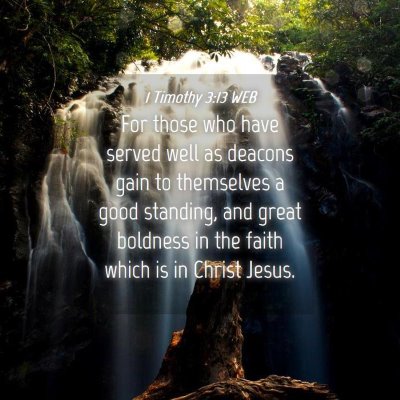 Picture 04 - 1 Timothy 3:13 WEB - For those who have served well as deacons gain to - Bible Verse Picture