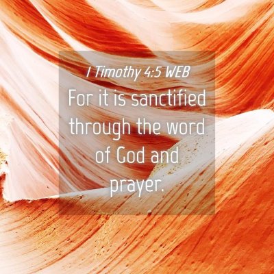 Picture 04 - 1 Timothy 4:5 WEB - For it is sanctified through the word of God and - Bible Verse Picture
