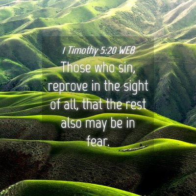 Picture 04 - 1 Timothy 5:20 WEB - Those who sin, reprove in the sight of all, that - Bible Verse Picture