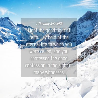 Picture 04 - 1 Timothy 6:12 WEB - Fight the good fight of faith. Lay hold of the - Bible Verse Picture