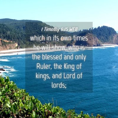 Picture 04 - 1 Timothy 6:15 WEB - which in its own times he will show, who is the - Bible Verse Picture