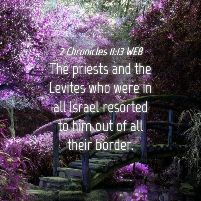 Picture 04 - 2 Chronicles 11:13 WEB - The priests and the Levites who were in all - Bible Verse Picture