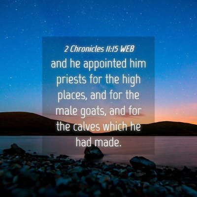 Picture 04 - 2 Chronicles 11:15 WEB - and he appointed him priests for the high places, - Bible Verse Picture