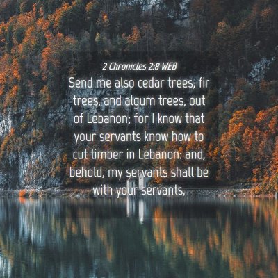 Picture 04 - 2 Chronicles 2:8 WEB - Send me also cedar trees, fir trees, and algum - Bible Verse Picture