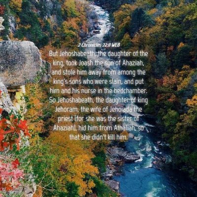 Picture 04 - 2 Chronicles 22:11 WEB - But Jehoshabeath, the daughter of the king, took - Bible Verse Picture