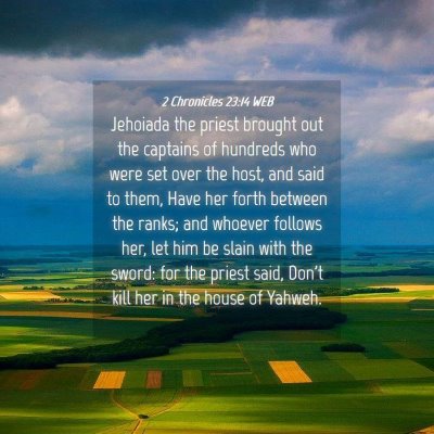 Picture 04 - 2 Chronicles 23:14 WEB - Jehoiada the priest brought out the captains of - Bible Verse Picture