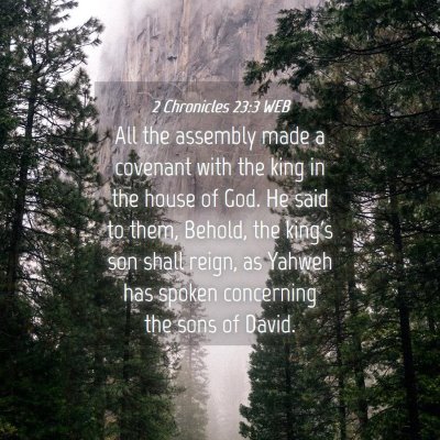 Picture 04 - 2 Chronicles 23:3 WEB - All the assembly made a covenant with the king in - Bible Verse Picture