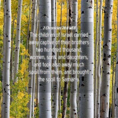 Picture 04 - 2 Chronicles 28:8 WEB - The children of Israel carried away captive of - Bible Verse Picture