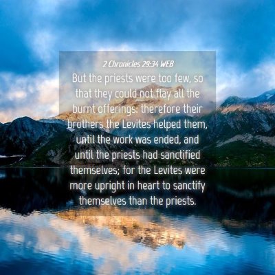 Picture 04 - 2 Chronicles 29:34 WEB - But the priests were too few, so that they could - Bible Verse Picture