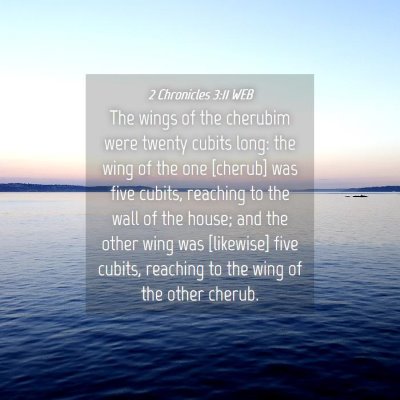 Picture 04 - 2 Chronicles 3:11 WEB - The wings of the cherubim were twenty cubits - Bible Verse Picture