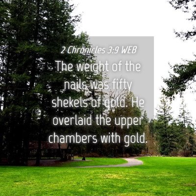 Picture 04 - 2 Chronicles 3:9 WEB - The weight of the nails was fifty shekels of - Bible Verse Picture