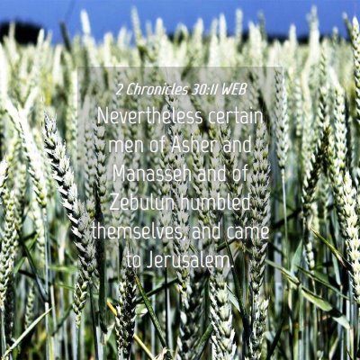 Picture 04 - 2 Chronicles 30:11 WEB - Nevertheless certain men of Asher and Manasseh - Bible Verse Picture