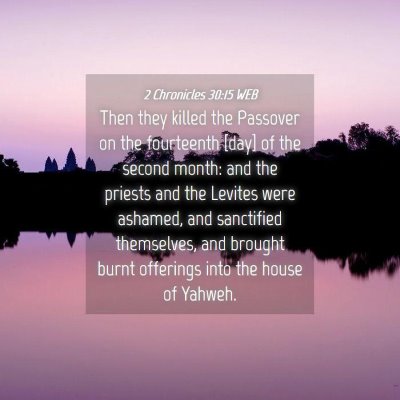Picture 04 - 2 Chronicles 30:15 WEB - Then they killed the Passover on the fourteenth - Bible Verse Picture