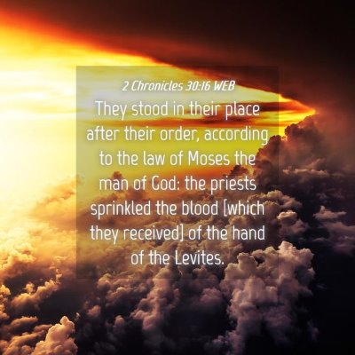 Picture 04 - 2 Chronicles 30:16 WEB - They stood in their place after their order, - Bible Verse Picture