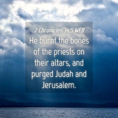Picture 04 - 2 Chronicles 34:5 WEB - He burnt the bones of the priests on their - Bible Verse Picture