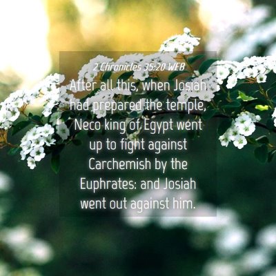Picture 04 - 2 Chronicles 35:20 WEB - After all this, when Josiah had prepared the - Bible Verse Picture