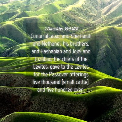 Picture 04 - 2 Chronicles 35:9 WEB - Conaniah also, and Shemaiah and Nethanel, his - Bible Verse Picture