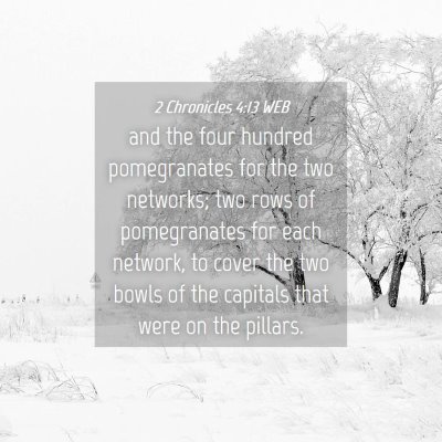 Picture 04 - 2 Chronicles 4:13 WEB - and the four hundred pomegranates for the two - Bible Verse Picture