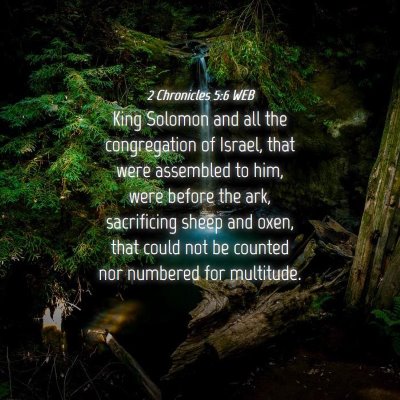 Picture 04 - 2 Chronicles 5:6 WEB - King Solomon and all the congregation of Israel, - Bible Verse Picture