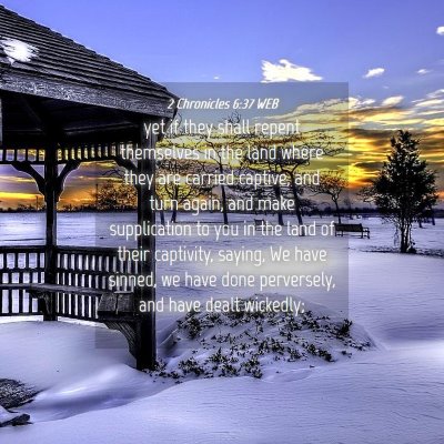 Picture 04 - 2 Chronicles 6:37 WEB - yet if they shall repent themselves in the land - Bible Verse Picture