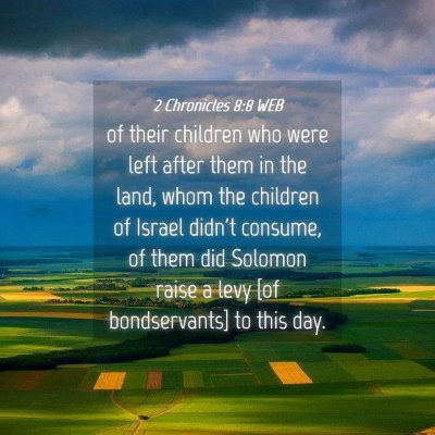 Picture 04 - 2 Chronicles 8:8 WEB - of their children who were left after them in the - Bible Verse Picture