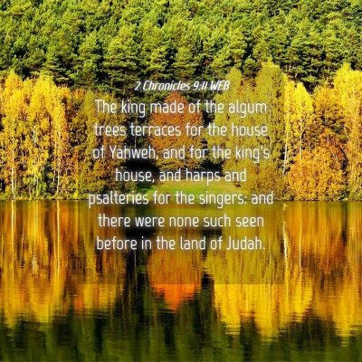 Picture 04 - 2 Chronicles 9:11 WEB - The king made of the algum trees terraces for the - Bible Verse Picture