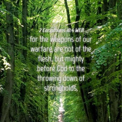 Picture 04 - 2 Corinthians 10:4 WEB - for the weapons of our warfare are not of the - Bible Verse Picture