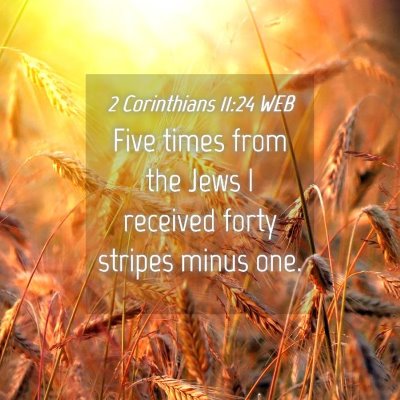 Picture 04 - 2 Corinthians 11:24 WEB - Five times from the Jews I received forty stripes - Bible Verse Picture