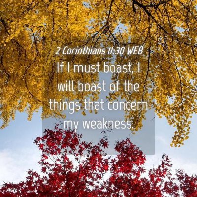 Picture 04 - 2 Corinthians 11:30 WEB - If I must boast, I will boast of the things that - Bible Verse Picture