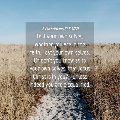 Picture 04 - 2 Corinthians 13:5 WEB - Test your own selves, whether you are in the - Bible Verse Picture