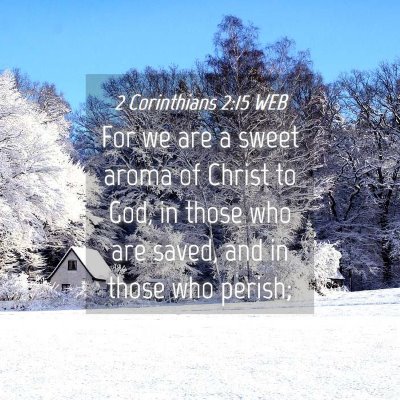 Picture 04 - 2 Corinthians 2:15 WEB - For we are a sweet aroma of Christ to God, in - Bible Verse Picture