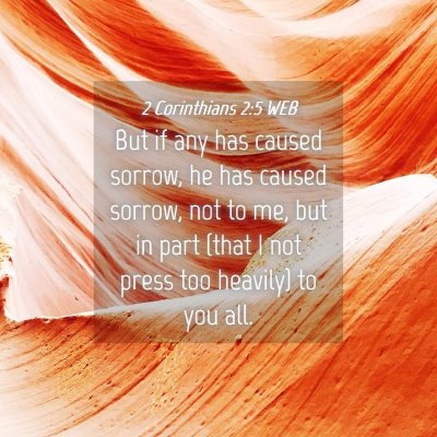 Picture 04 - 2 Corinthians 2:5 WEB - But if any has caused sorrow, he has caused - Bible Verse Picture