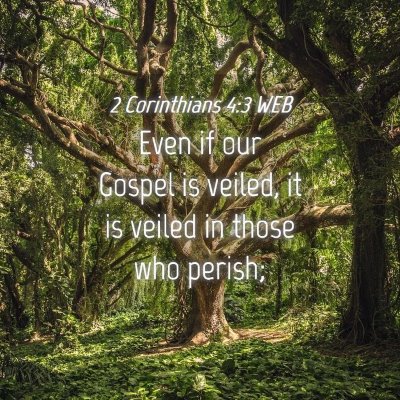 Picture 04 - 2 Corinthians 4:3 WEB - Even if our Gospel is veiled, it is veiled in - Bible Verse Picture