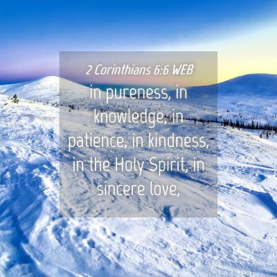 Picture 04 - 2 Corinthians 6:6 WEB - in pureness, in knowledge, in patience, in - Bible Verse Picture