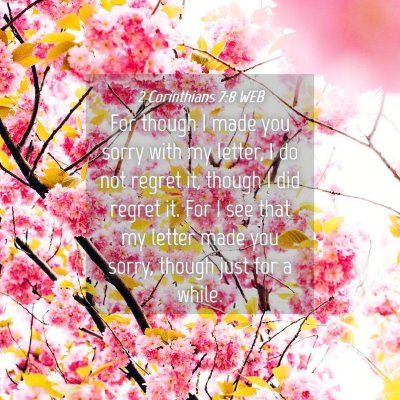 Picture 04 - 2 Corinthians 7:8 WEB - For though I made you sorry with my letter, I do - Bible Verse Picture